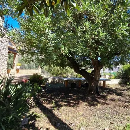 Prázdninový dům Campus El Abuelo Denia