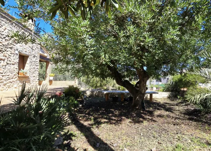 Campus El Abuelo